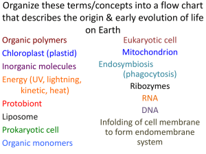 Cells Powerpoint - Class on the Moon