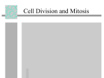 Cell Division and Mitosis