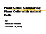 Plant Cells: Comparing Plant Cells with Animal Cells