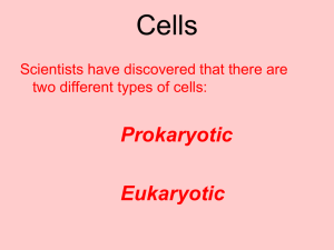 Cell Membrane - Gorzycki Middle School