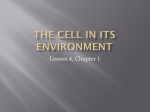 The Cell in its Environment - Mother Teresa Regional School