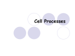 Cell Structure and Function