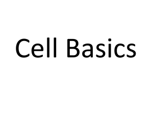 Cell Basics