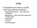 Cells