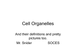 Cell Organelles