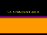 The Discovery and Basic Cell Theory