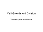 Cell Growth and Division