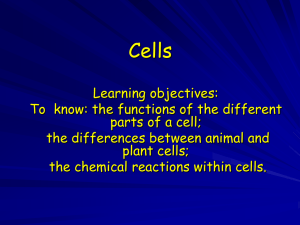 Cells - Life Learning Cloud