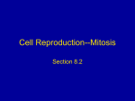 Cell Reproduction-