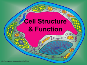 Cells are - Bibb County Schools