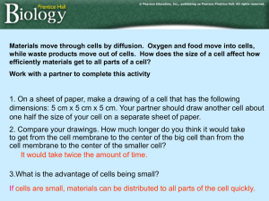 Mitosis Notes