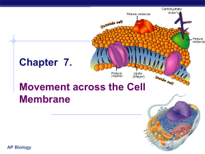 Chapter 8. Movement across the Membrane