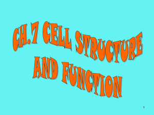 cell structure &function-2