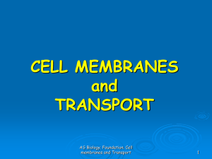 Diffusion Lab PPT