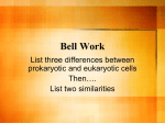 Cell Organelles and their Functions