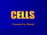 Cells