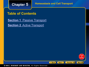 Chapter 5 Section 1 Passive Transport