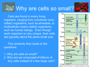 Bio392-Chapter 10-1