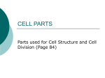 CELL PARTS