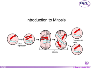 Cell Division and Fertilization