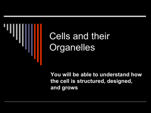 Review of Cell Parts and Function