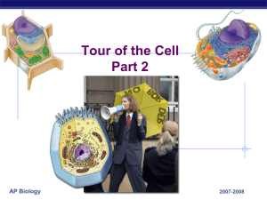 Tour of the Cell