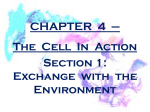 cell transport across membranes