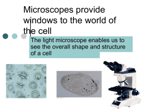 Cells - My Teacher Pages