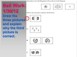 Mitosis vs. Meiosis PPT