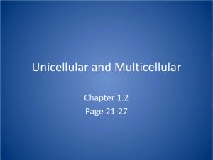 Unicellular and Multicellular