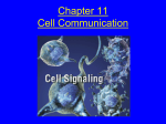 The Structure of a G-protein –linked Receptor