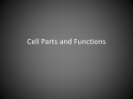 Cell Parts and Functions