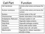 TAKS Obj 2 -BIOLOGY