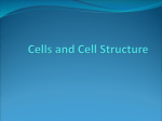 Cells and Cell Structure