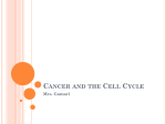 Cancer and the Cell Cycle