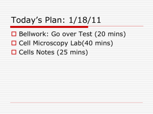 Cells Notes