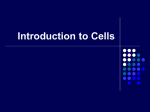 Introduction to Cells