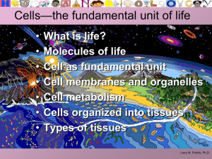 Cells2ForAandP