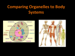 Comparing Systems