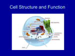 Cell Structure and Function