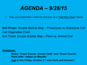 C) Interactive Organelle Breakdown 9.28 REG