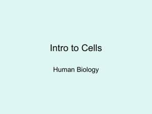 Intro to Cells