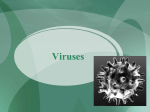 Viruses