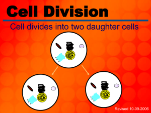 Cell Cycle and Cell Division