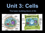 Unit III: Cells