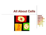 All About Cells