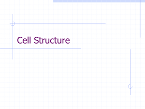 Prokaryote versus Eukaryotes Cell Structure