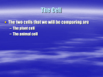 The Cell - Harris7Science