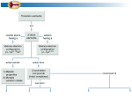 Key Concepts PowerPoint