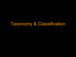 Taxonomy & Phylogeny - Blue Valley Unified School District